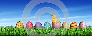 Easter Egg Hunt Surprise
