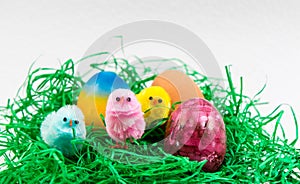 Easter Egg and little chicks