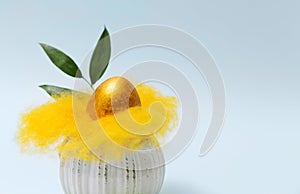 Easter egg in a nest on a gray background.