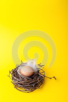 Easter egg in nest on yellow background