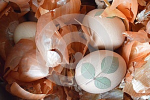 Easter egg and onion peels