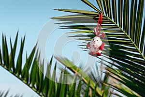 Easter egg on palm tree branch. Easter holiday in tropical exotic countries on beach by sea. Vacation at seaside resort
