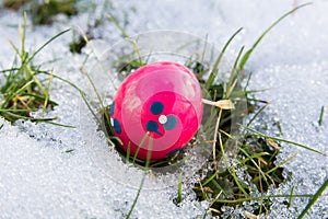 Easter egg in the snow