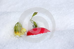 The Easter egg in the snow