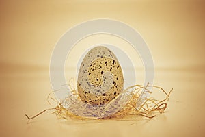 Easter egg with straw decoration