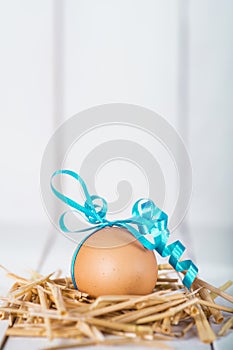 Easter egg on a white wooden background