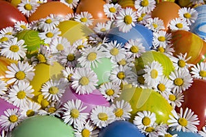 Pasqua uova 