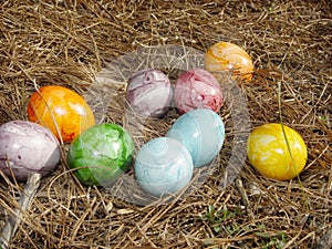 Easter Eggs photo