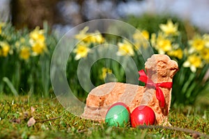 Easter eggs and a baked Easter lamb in a meadow photo