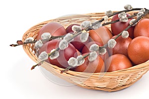 Easter eggs in a basket