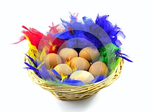 Easter eggs in a basket with colorful feathers