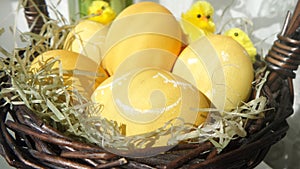 Easter eggs in the basket with grass
