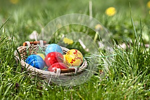 Easter eggs in basket on green grass