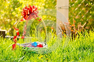 Easter eggs in basket on green grass