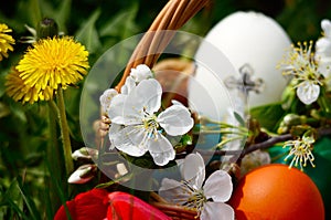 Easter eggs in a basket with spring grass and flowers