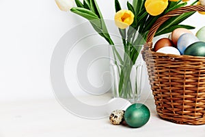 Easter eggs in a basket and yellow tulips in a vase In a bright room