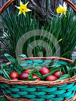 Easter eggs in a bin