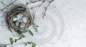 Easter eggs in bird nest with feather and spring flowers on white background. Happy Easter holiday, top view, flat lay