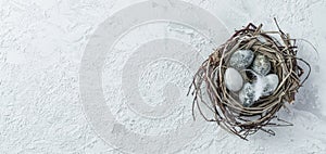 Easter eggs in bird nest with feather on white background with space for text. Happy Easter holiday, top view, flat lay, wide