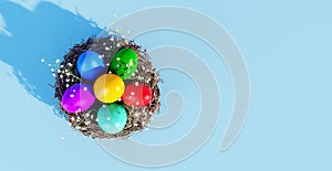 Easter eggs in bird nest with white flowers on light blue background