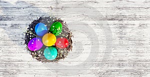 Easter eggs in bird nest with white flowers on white wood background