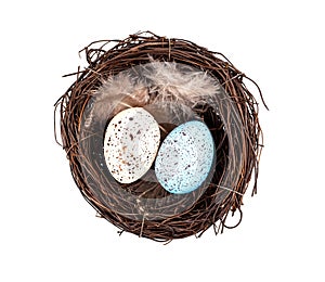 Easter eggs in birds nest