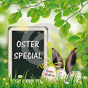 Easter Eggs Blackboard Hare Ears Beech Oster Special