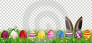 Easter Eggs Bunny Ears Grass Transparent Header