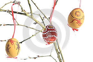 Easter eggs on catkin