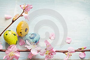 Easter eggs and cherry blossom retro blue background