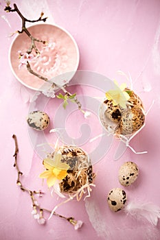 Easter eggs on with cherry branch in pink tone. Easter decoration