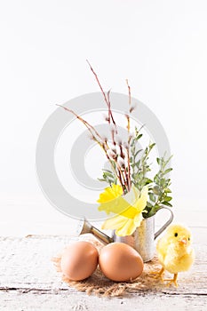Easter eggs with chicken and daffodil flowers in a watering can
