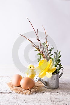 Easter eggs with chicken and daffodil flowers in a watering can