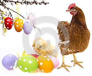 Easter eggs and chickens