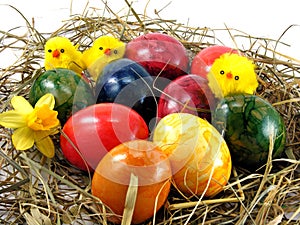 Easter eggs & chicks