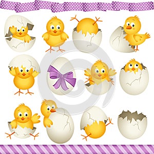 Easter eggs chicks