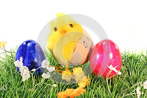 Easter eggs and chicks on a meadow