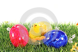 Easter eggs and chicks on a meadow