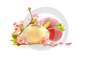 Easter eggs colored in gold and red isolated on white