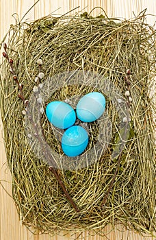 Easter eggs concept in a nest on hay with willow seals