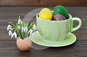 Easter eggs in the cup and spring flowers in eggshell