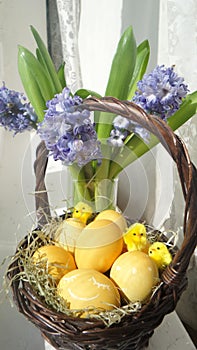 Easter eggs decorated by chickens and basket