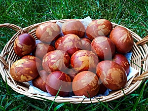 Easter Eggs Decorated with Natural Grass and Flower blossoms and Boiled in Onions Peels