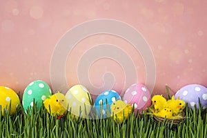 Easter eggs with decorative chicken in fresh green grass on pink