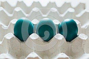 Easter eggs of different colors in tray