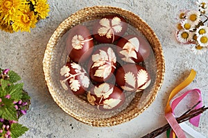 Easter eggs dyed with onion skins with a pattern of herbs, top view