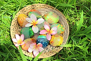 Easter Eggs. Easter eggs in a basket with Pink Bali frangipani flowers on green grass background.