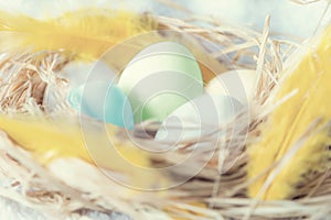 Easter eggs in a eggs hay on a white background, close up, isolated