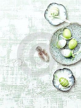 Easter eggs with feathers on ceramic plates