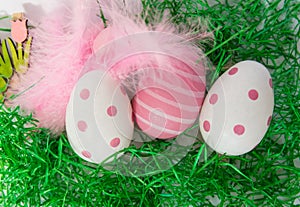 Easter eggs, feathers and flowers on the green grass